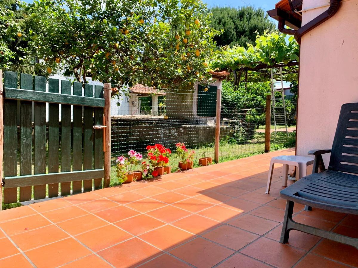Casa Do Paco Aveiro Holidayhome Dış mekan fotoğraf