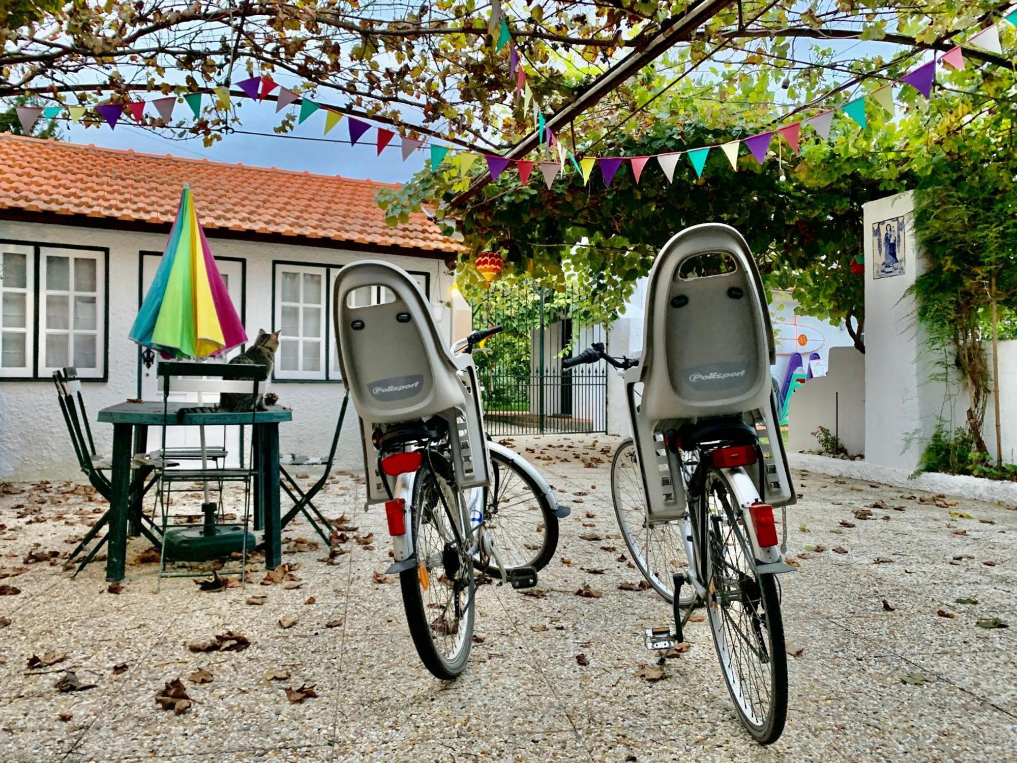 Casa Do Paco Aveiro Holidayhome Dış mekan fotoğraf